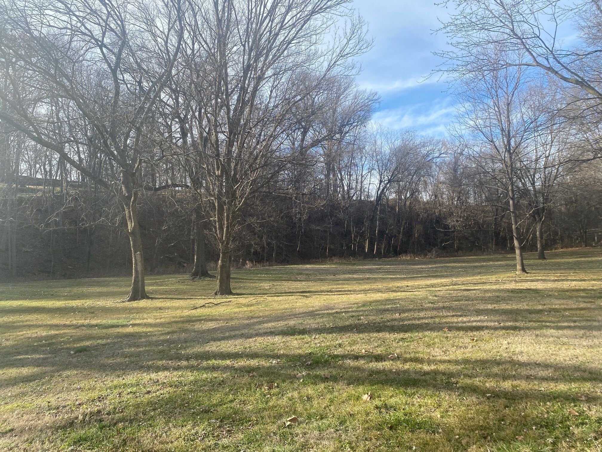 Un parc avec de vastes espaces couverts d’herbe et des arbres sans feuilles.