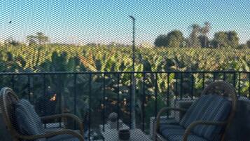 A balcony with wicker chairs and a small table, overlooking a field of crops.