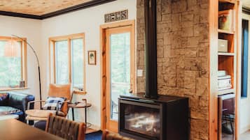 TV connectée, cheminée, livres, médiathÚque