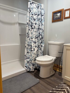 Shower, towels, soap, toilet paper