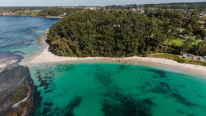 An aerial view of a coastal area with a beach, dense forest, and a residential area in the background.