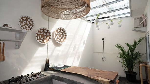 Una cucina moderna con un'ampia finestra, un piano cottura a gas, piatti decorativi e una pianta pensile.