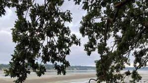 A muddy path with scattered rocks, a grassy area, and a view of a beach and ocean in the distance.