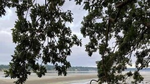 A pathway with rocks and grass on the side, leading to a beach. - Estuary Escape - 1BDRM - Full Kitchen (Nanoose Bay)