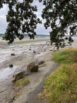 A pathway with rocks and grass on the side, leading to a beach.