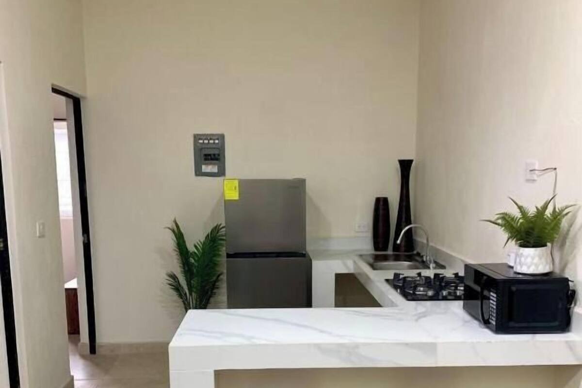 A compact kitchen with a refrigerator, stove, and sink, two wooden stools, and a potted plant.