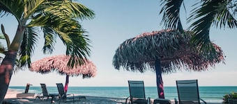 Nautilus– Oceanfront Ground-Floor Studios