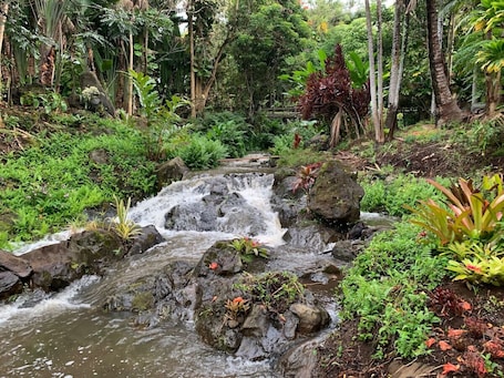 Property grounds. Inspired 1-BR, Magic Gardens, Stream and Waterfall
