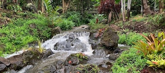 Inspired 1-BR, Magic Gardens, Stream and Waterfall