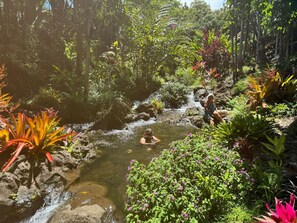 Property grounds - FROG POND Cozy, streamside family cabin for 3 - 4 (Honokaa)