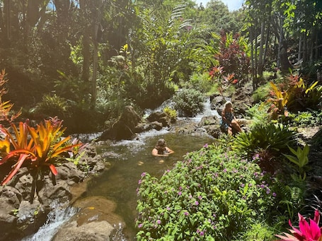 Property grounds. FROG POND Cozy, streamside family cabin for 3 - 4