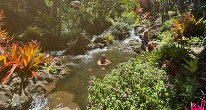 FROG POND Cozy, streamside family cabin for 3 - 4