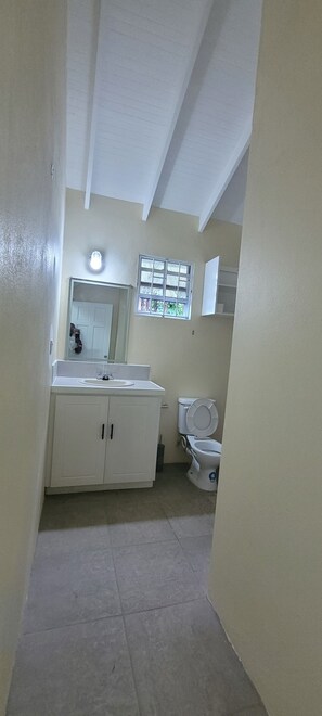 Shower, hair dryer, towels, toilet paper - Charming 2-bedroom house in awesome Castries with WiFi, AC (Castries)