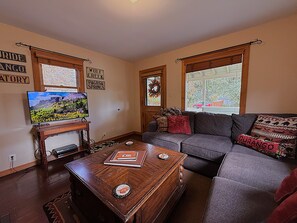 Smart TV, fireplace, books, computer monitors