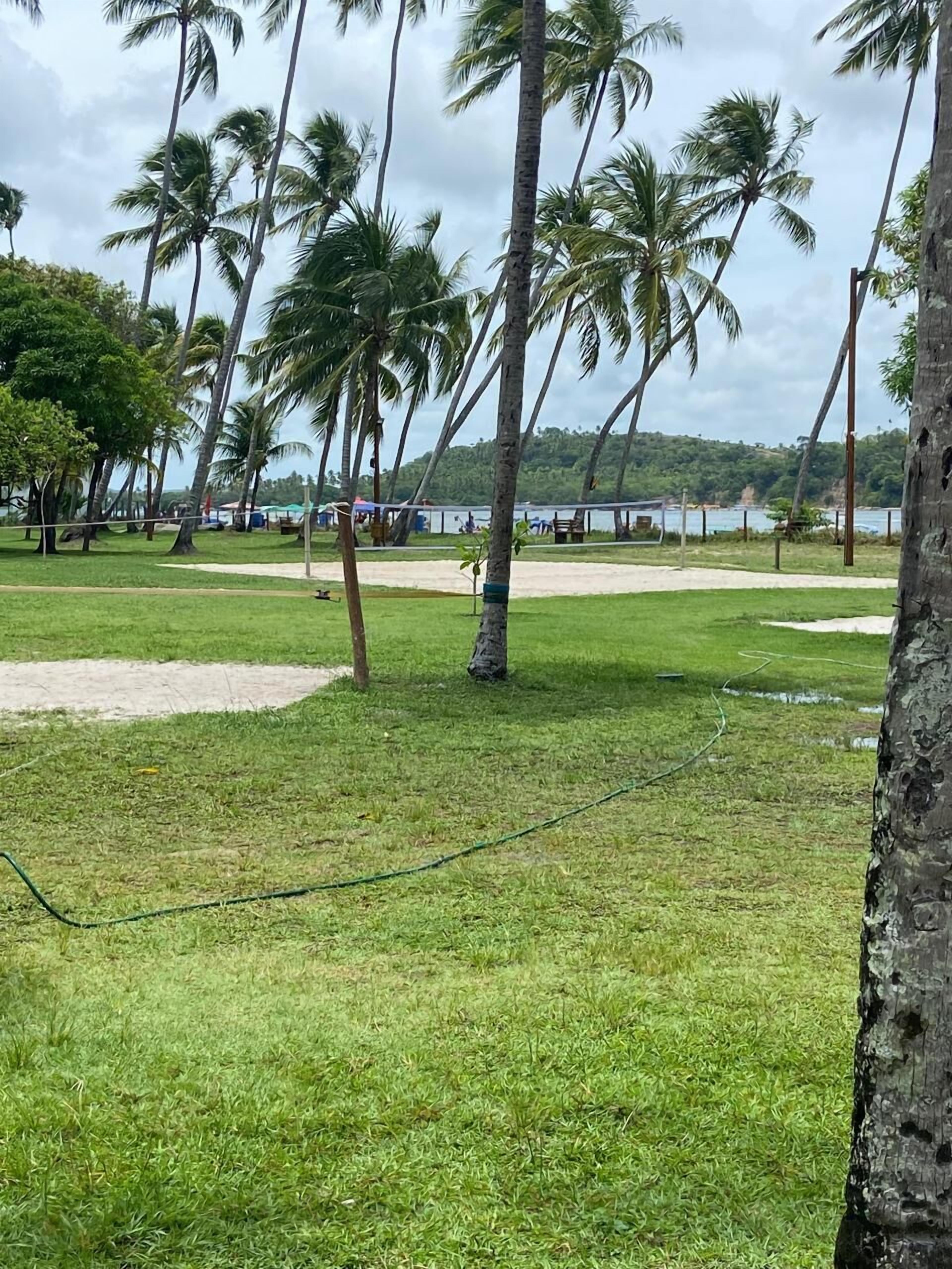 Zona verde con palmeras y vista al mar.