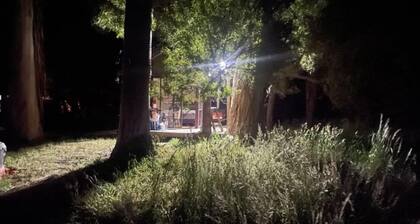 Take a break and unwind in this peaceful and relaxing bush setting