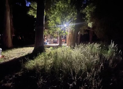 Take a break and unwind in this peaceful and relaxing bush setting 
