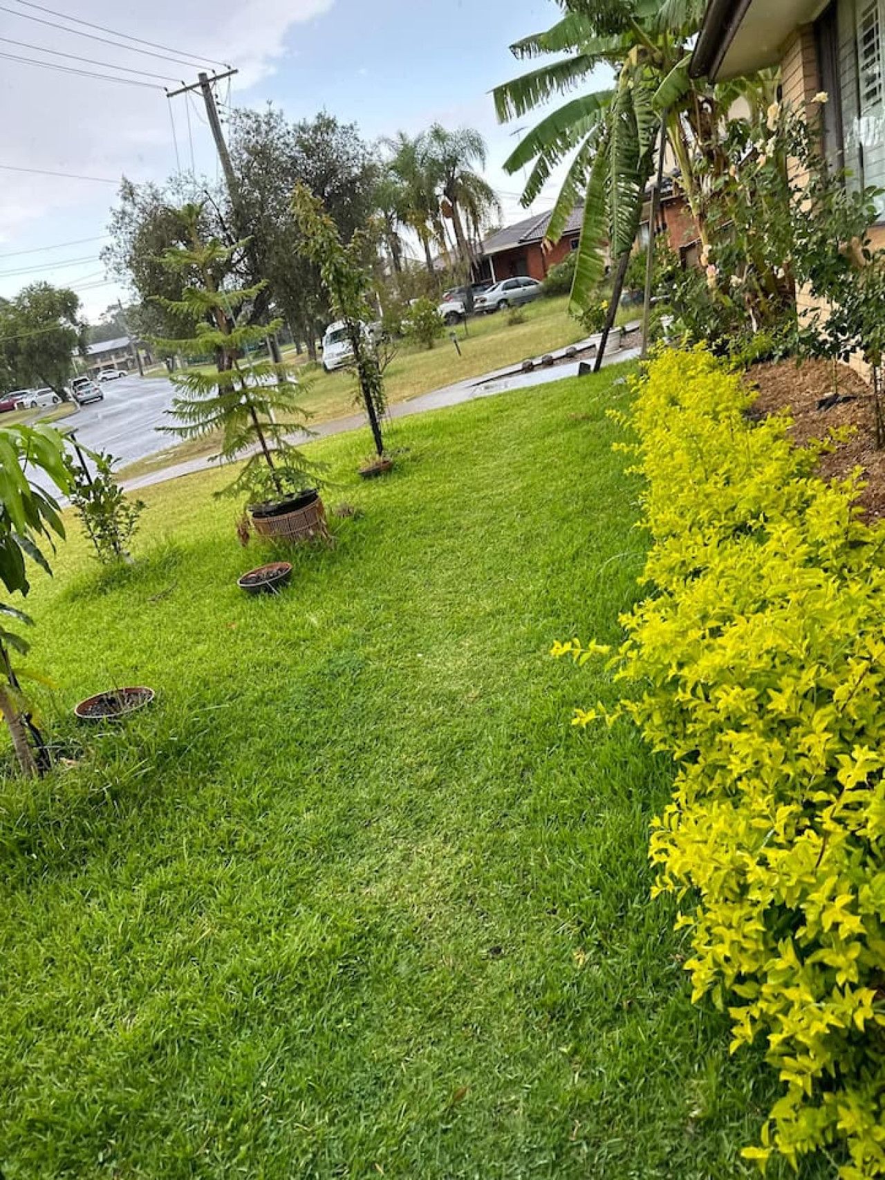 Parco della struttura