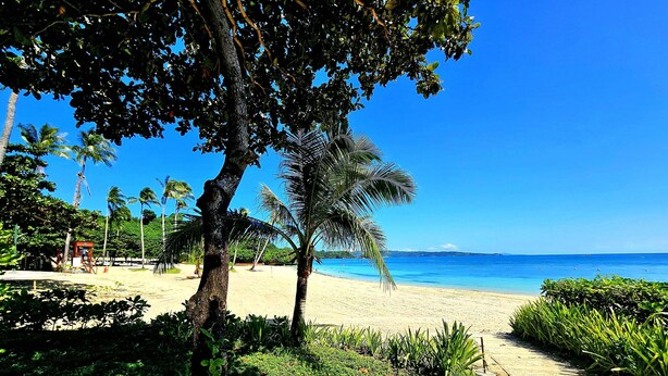 Une plage bordée de palmiers, un ciel bleu azur et un sentier sablonneux menant à l’eau.