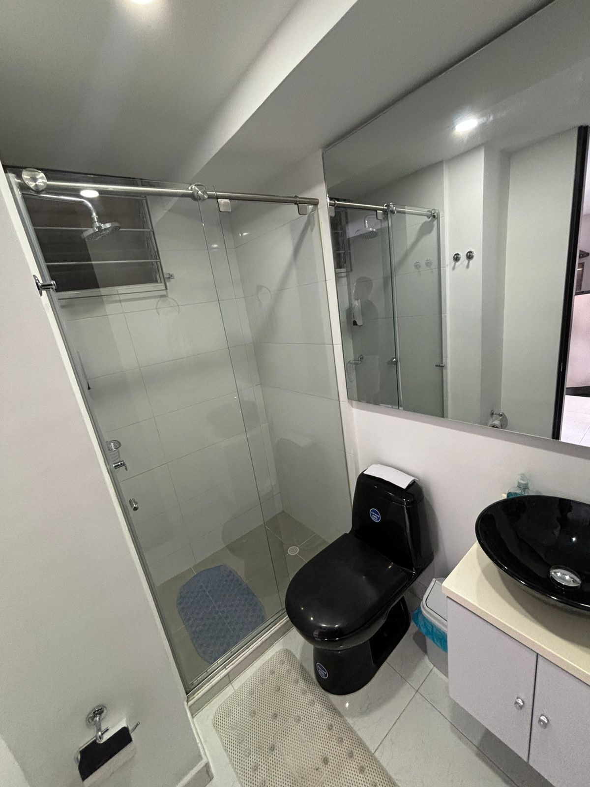 Toalhas de banho, sabonete, papel higiênico 