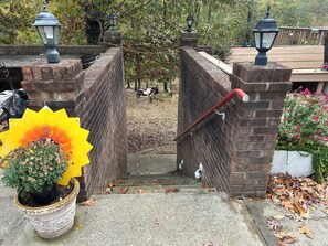 Property grounds - Simply Sunny Cozy 1 BR w/Patio (Ooltewah)