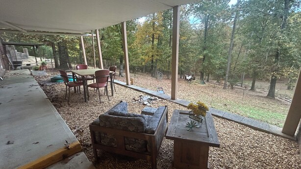 Un espace extérieur aménagé, abrité, avec une table et des chaises, une petite table ornée d’un vase, et une vue sur une zone boisée où se trouve un cheval.