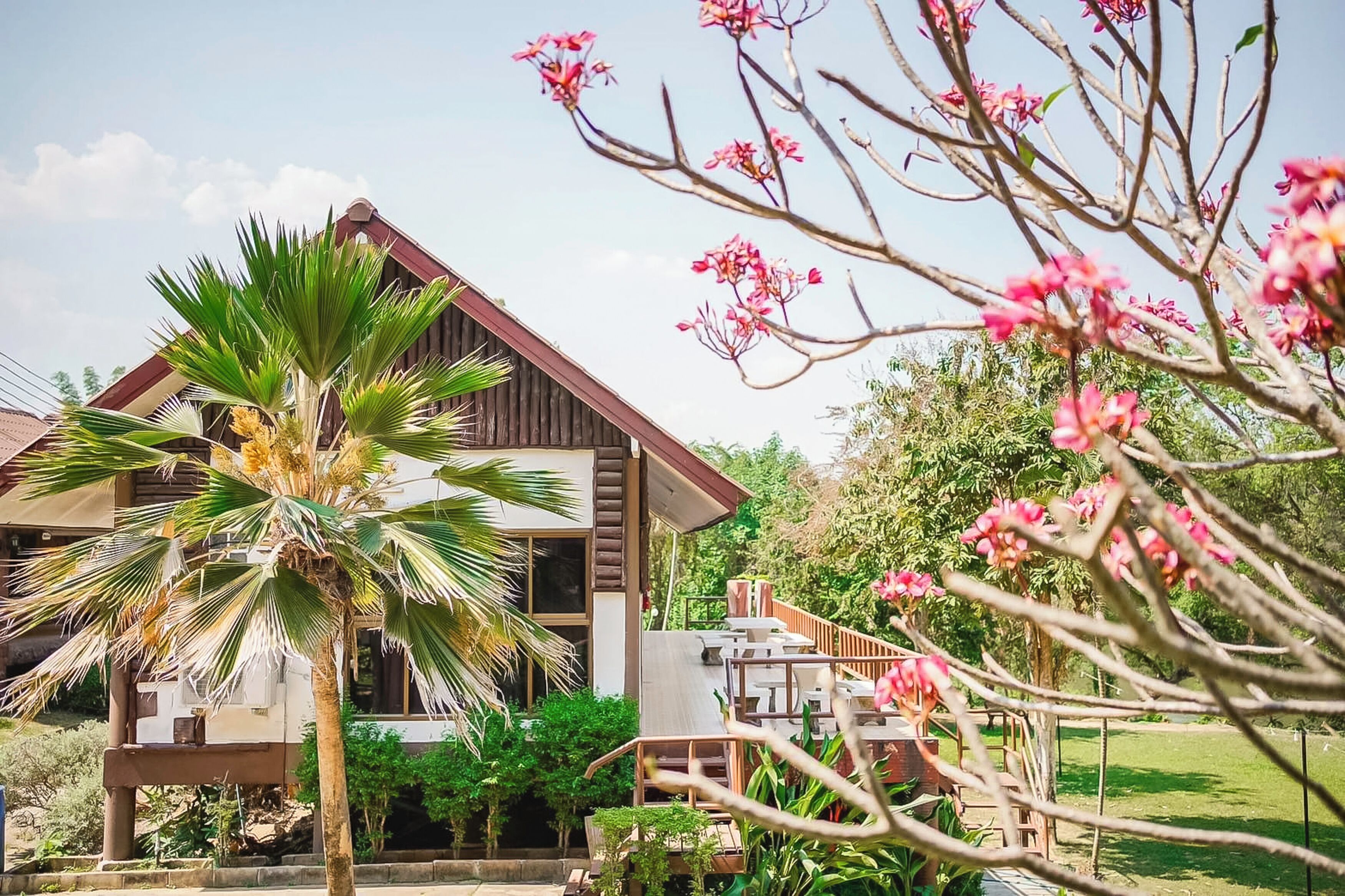 四人房, 露台 | 办公桌、免费 WiFi、床单