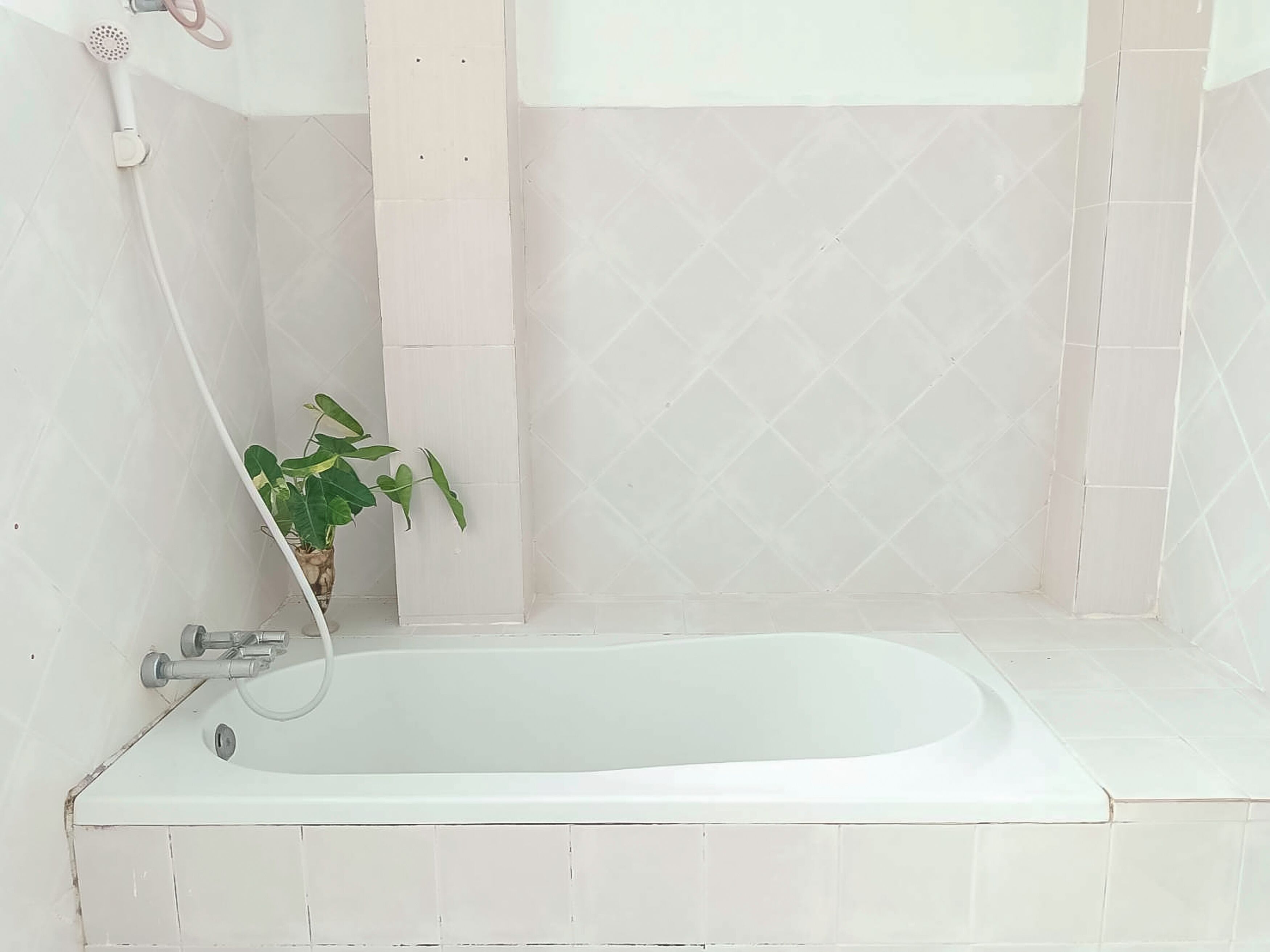 A modern bathroom with a freestanding bathtub, a handheld showerhead, and a potted plant.