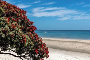 Una playa con un árbol de flores rojas y un bote en el agua.