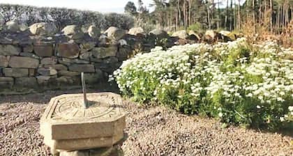 Bungalow - 4 Beds 2 Baths - Dog Friendly - Walks