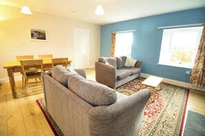 TV, fireplace, books