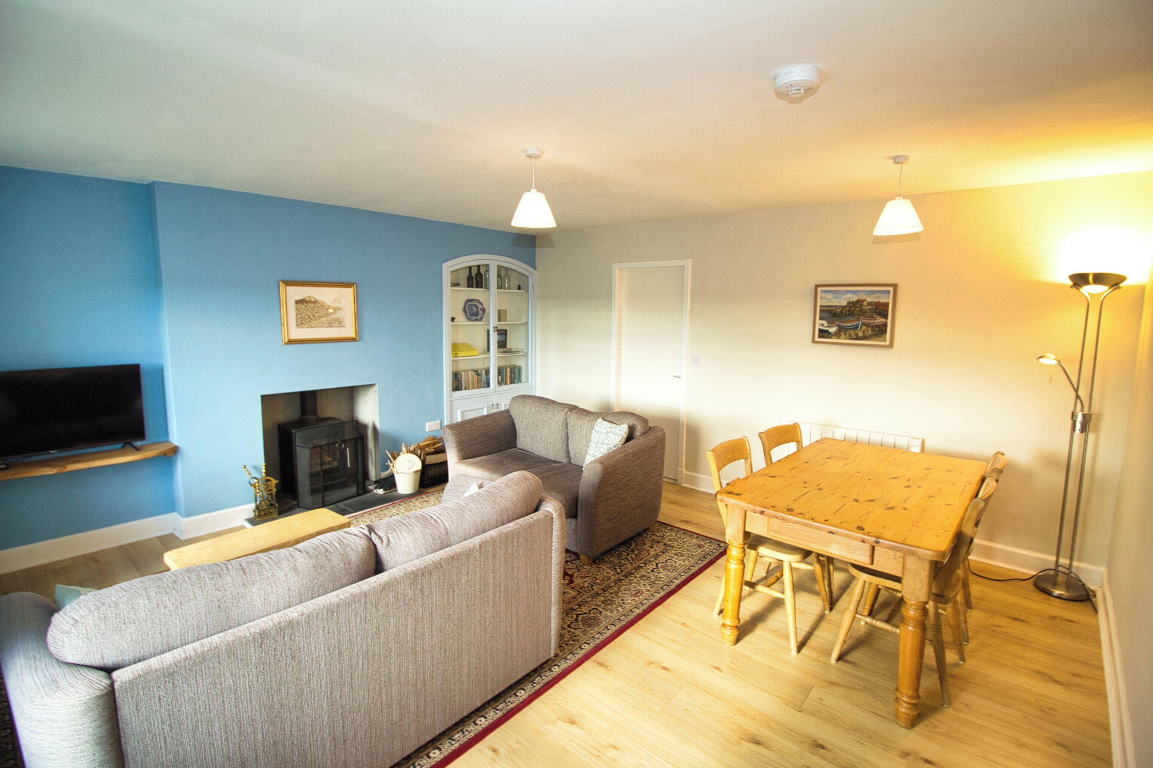 TV, fireplace, books