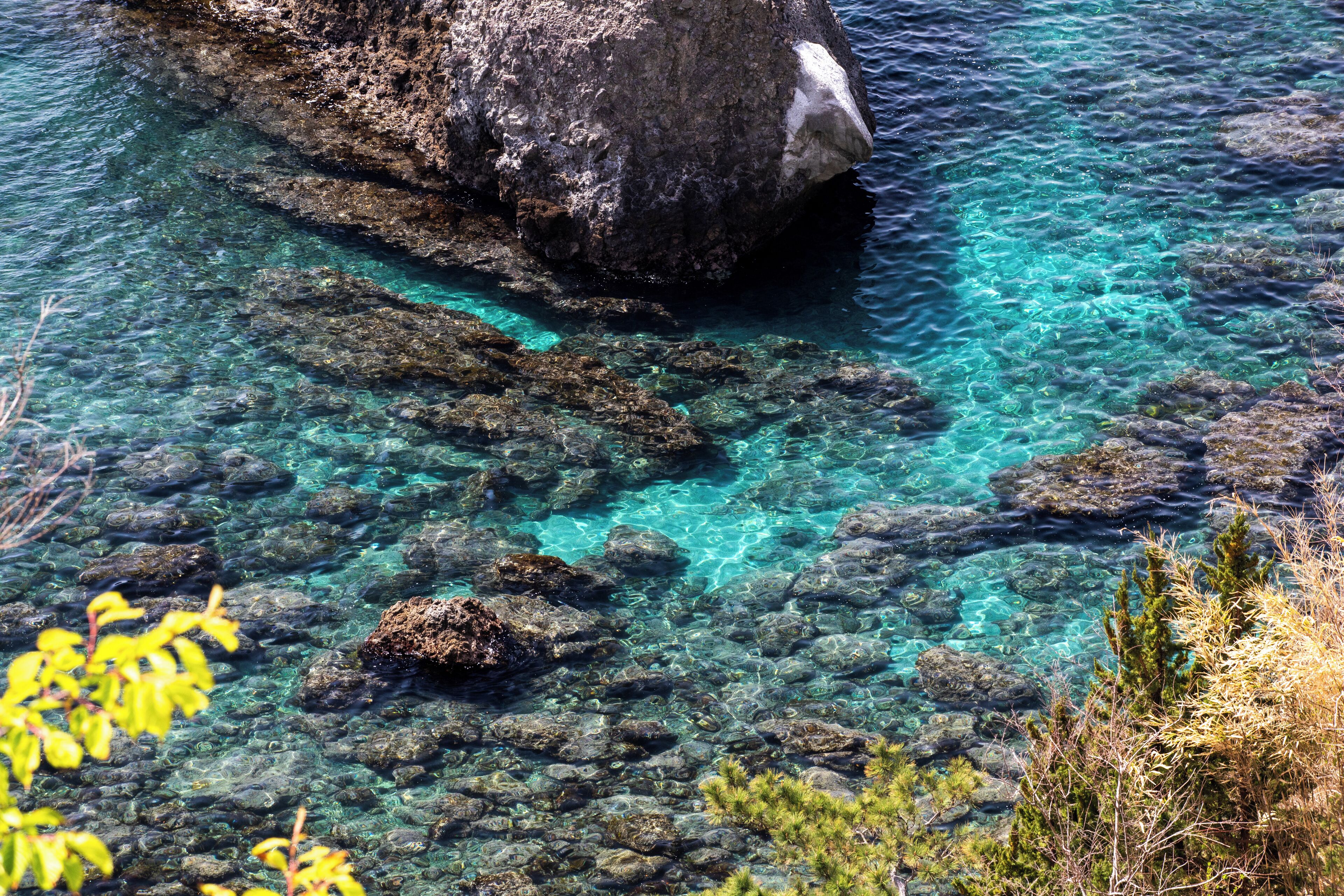 A rocky shoreline with clear water and some vegetation.