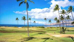 A golf course with palm trees and a view of the ocean.
