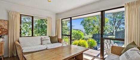 TV connectée, cheminée, livres, chaîne hi-fi