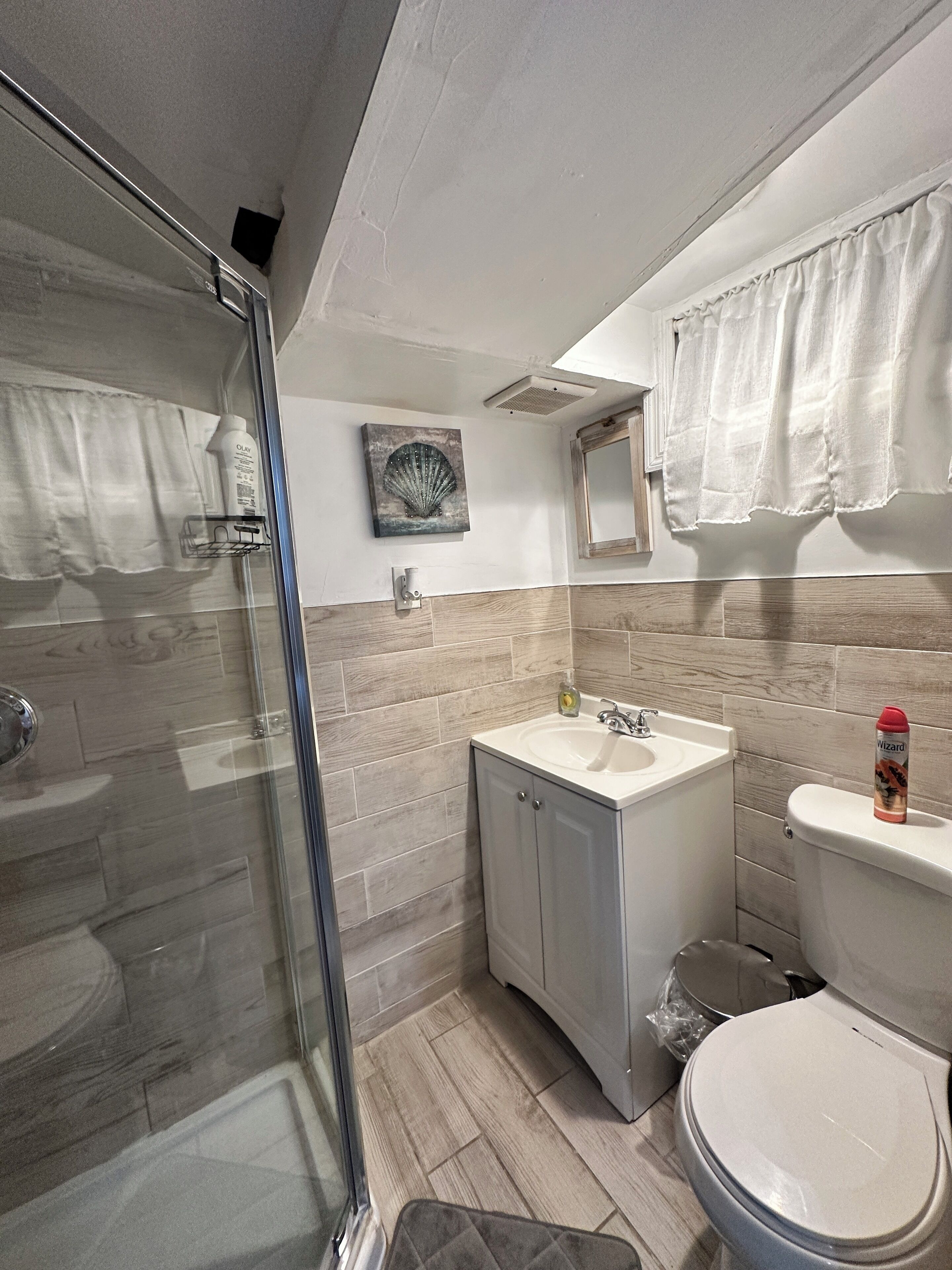 Hair dryer, towels, soap, toilet paper