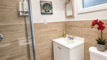 Hair dryer, towels, soap, toilet paper