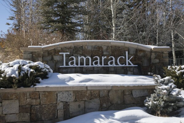 Un panneau en pierre portant le nom « Tamarack », dans un paysage enneigé.