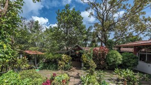 Un jardín con diversas plantas en macetas, un sendero y una pequeña estructura con tejado rojo.