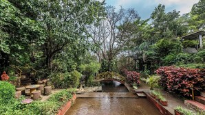 Un jardín tranquilo con un pequeño puente sobre una fuente de agua, rodeado de abundante vegetación y plantas en macetas.