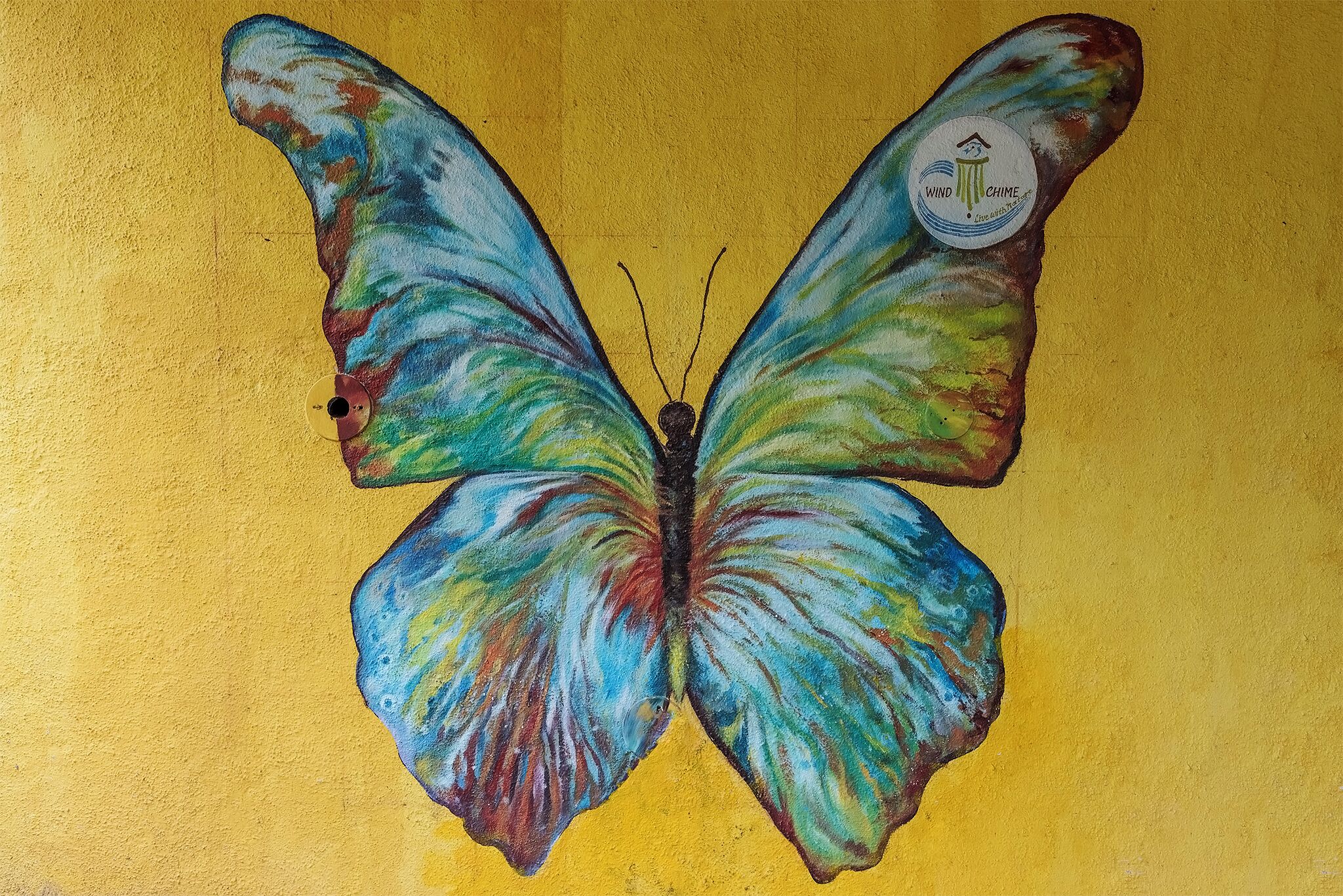 Un papillon avec un logo sur une de ses ailes, sur un fond jaune.
