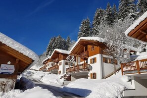 Exterior - Spacious Detached Chalet in Holiday Village (Wald im Pinzgau)
