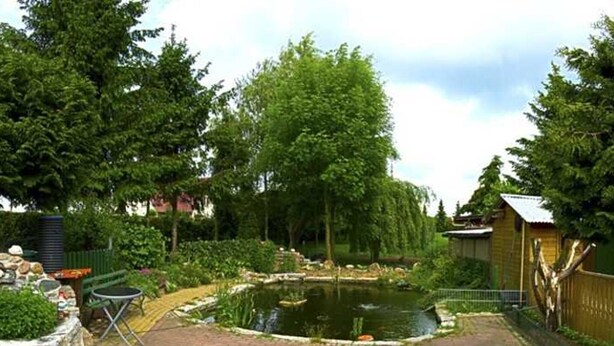 Un jardin avec un bassin, un chemin pavé de mosaïques circulaires et un petit espace aménagé pour s’asseoir.