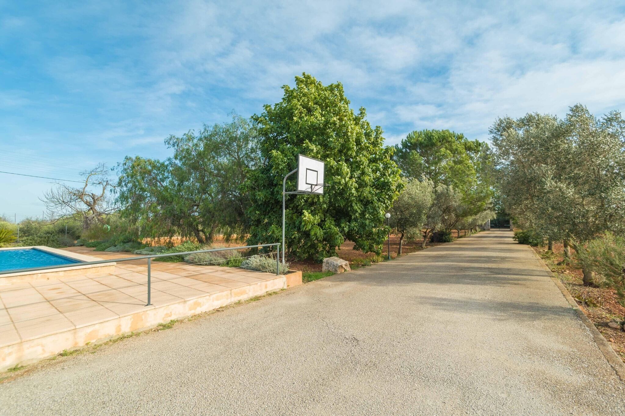 Un chemin pavé mène à un panier de basketball, avec une piscine sur la gauche et des arbres de chaque côté.
