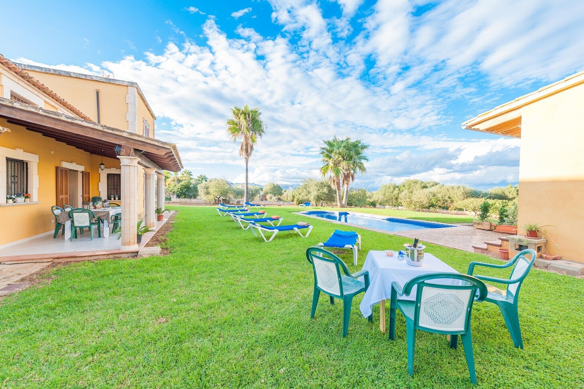 Un patio con piscina, mobiliario exterior y palmeras.