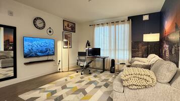 Smart TV, fireplace, books, computer monitors