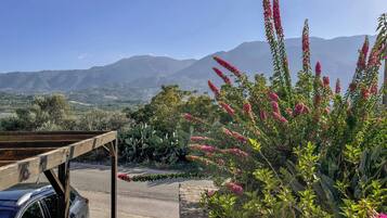 Estacionamento grátis sem manobrista