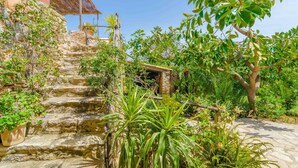 A stone staircase leading up to a rustic wooden structure, surrounded by lush greenery and potted plants.