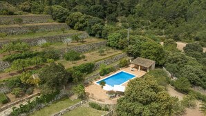 A villa with a swimming pool surrounded by terraced gardens and dense forest.