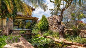 A serene garden with a pond, lush greenery, and a stone wall.
